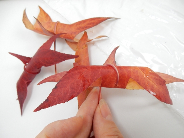 Each leaf looks slightly different Each leaf looks slightly different