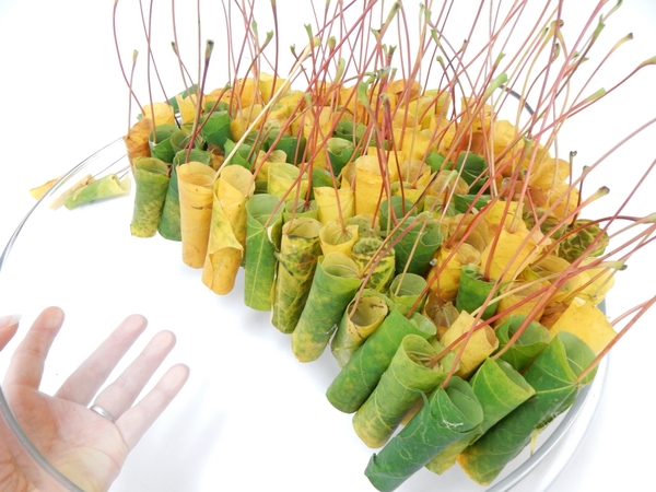 I wanted my leaf colours to be random and just kept that in mind as I stacked the leaves I wanted my leaf colours to be random and just kept that in mind as I stacked the leaves