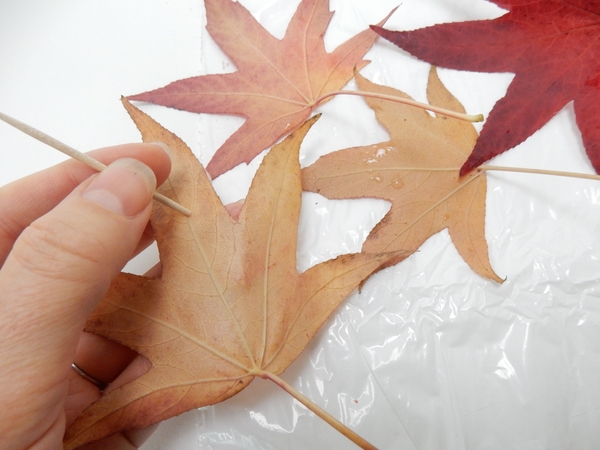 Make a small guide hole in a autumn leaf with a bamboo skewer Make a small guide hole in a autumn leaf with a bamboo skewer
