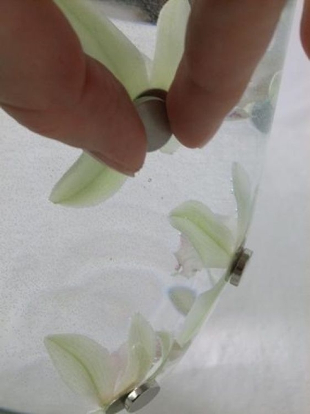 Positioning a flower under water using a magnet