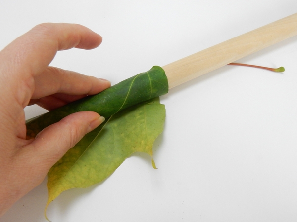Roll an autumn leaf around a thick dowel stick Roll an autumn leaf around a thick dowel stick