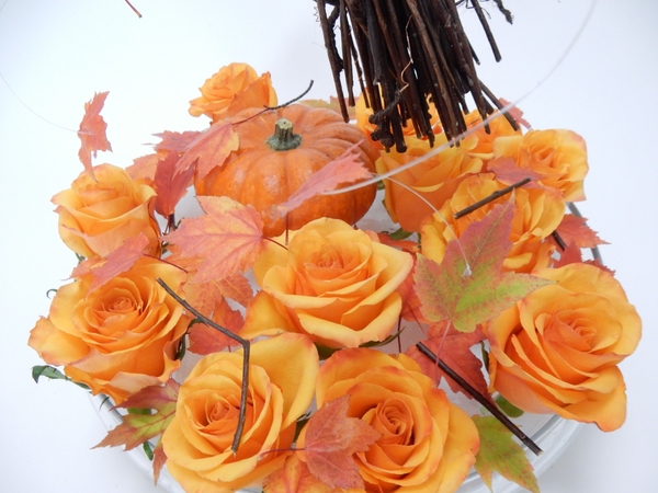 Roses and fall leaves Roses and fall leaves