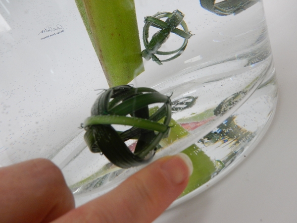 Use the tiny magnets as sinkers to make some of the bubble sink to the bottom Use the tiny magnets as sinkers to make some of the bubble sink to the bottom