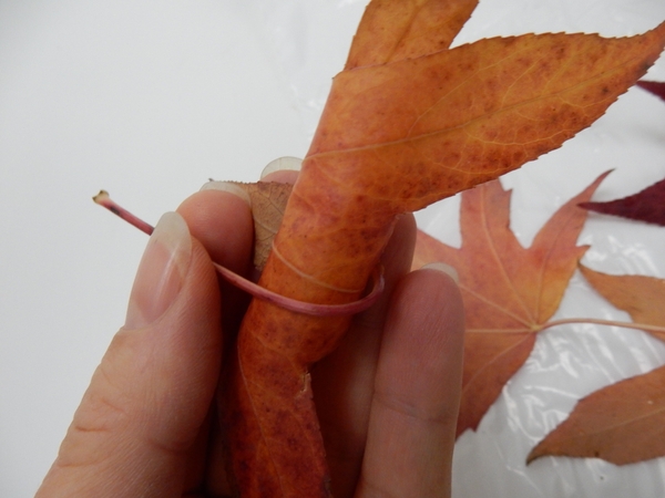 Wrap the stem around the leaf to secure Wrap the stem around the leaf to secure