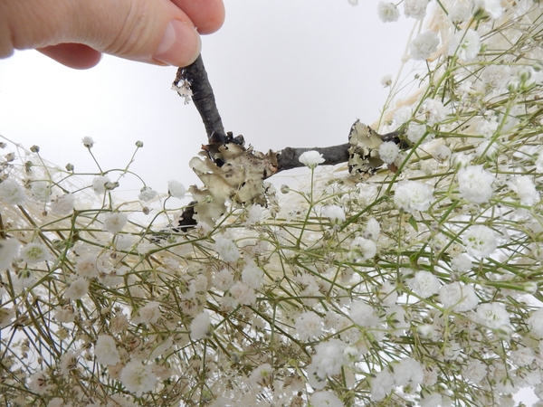 Add a few dried twigs. Add a few dried twigs.