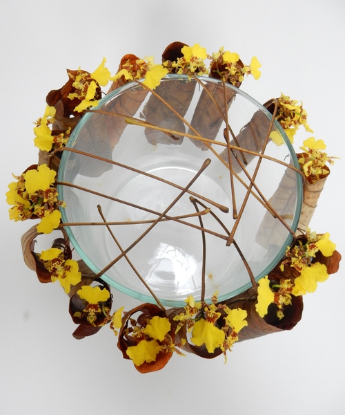 Autumn design Autumn design