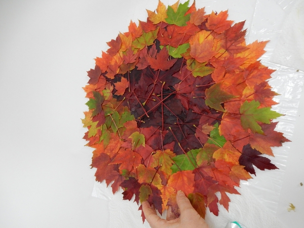 Autumn leaf disk. Autumn leaf disk.