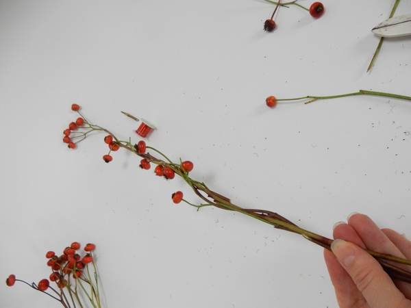 Be careful not to break any of the roships from the stems Be careful not to break any of the roships from the stems