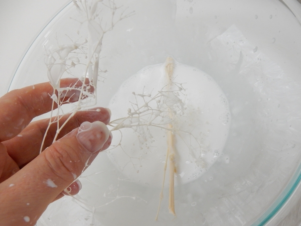 Dip sprigs of Baby's Breath in the glue mixture Dip sprigs of Baby's Breath in the glue mixture
