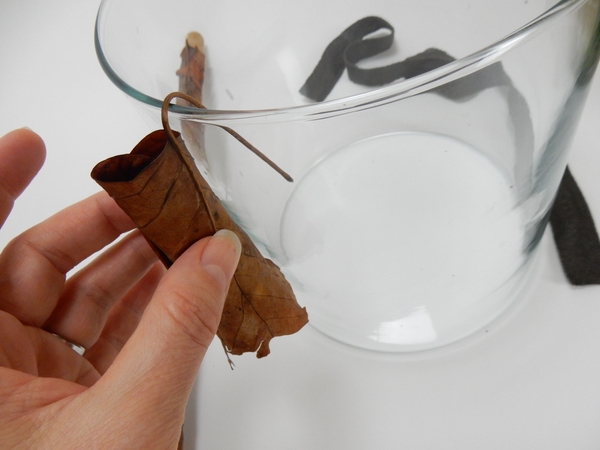 Hook the leaf over the edge of the container