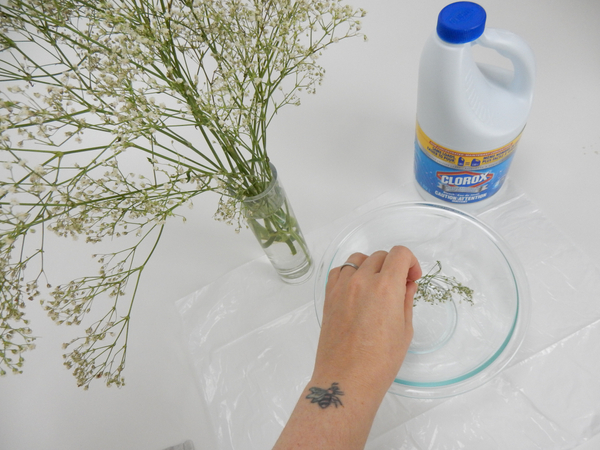 Let the Gypsophila dry naturally and place sprigs in a deep container