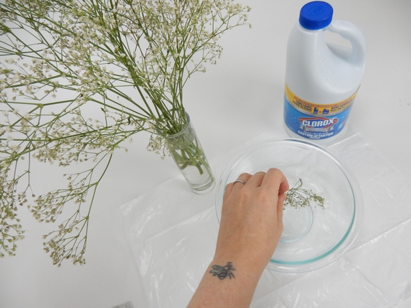 Let the Gypsophila dry naturally and place sprigs in a deep container Let the Gypsophila dry naturally and place sprigs in a deep container