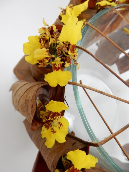 Oncidium orchids Oncidium orchids