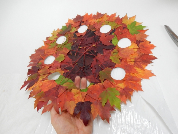 Paper and leaf disk is now ready to assemble Paper and leaf disk is now ready to assemble