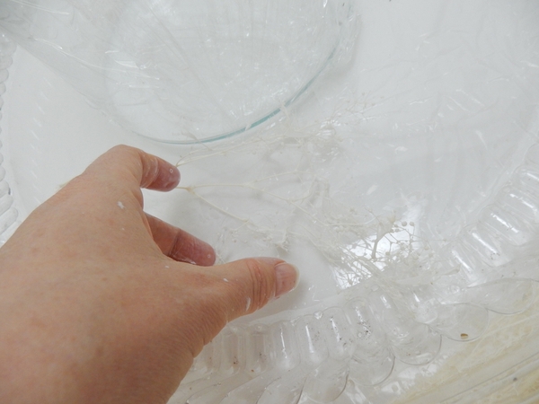Place the sprig in the tray at an angle Place the sprig in the tray at an angle