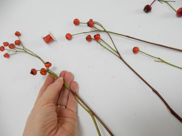 Plait the long stems to make a garland Plait the long stems to make a garland