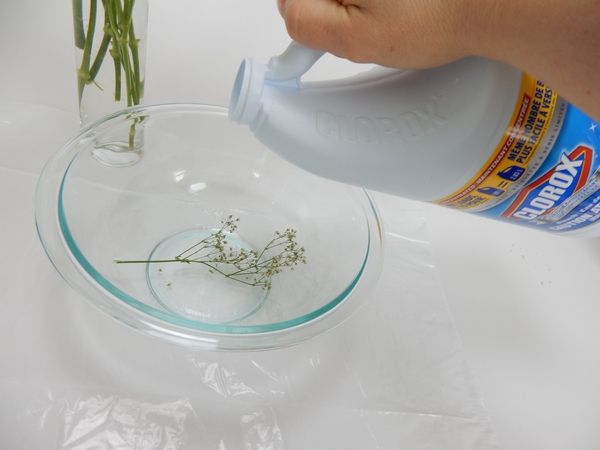 Pour bleach over the sprig Pour bleach over the sprig