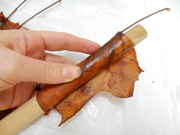 Roll the large leaf Roll the large leaf