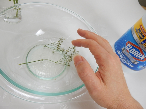 Soak the sprig for a few hours. Soak the sprig for a few hours.