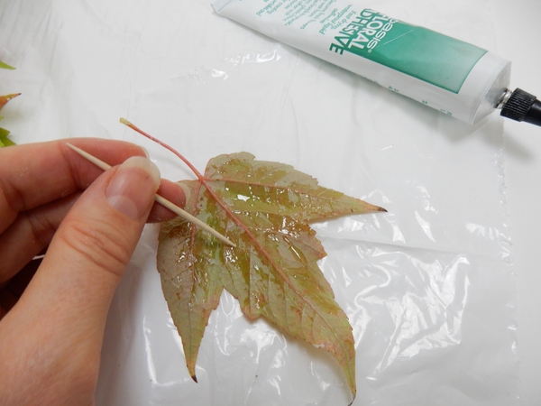Spread a thin layer of floral adhesive on an autumn leaf Spread a thin layer of floral adhesive on an autumn leaf