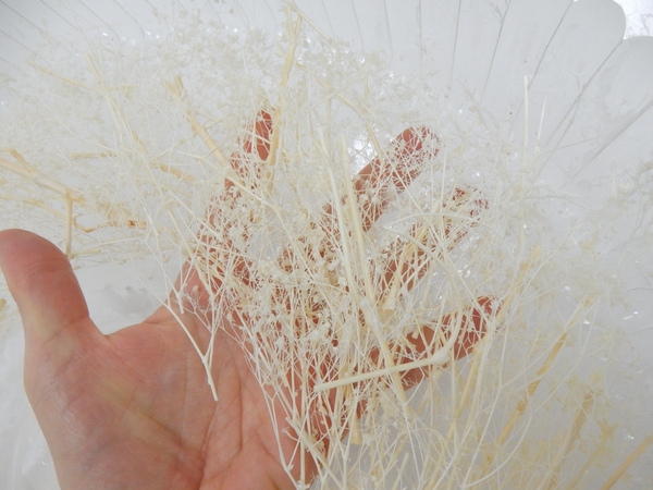Spread your fingers and loosen all the sprigs that are glued to the tray Spread your fingers and loosen all the sprigs that are glued to the tray