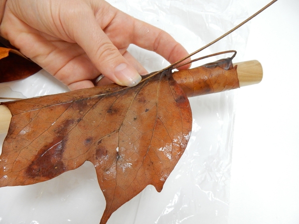 Wrap the next leaf to hold the previous one in place Wrap the next leaf to hold the previous one in place