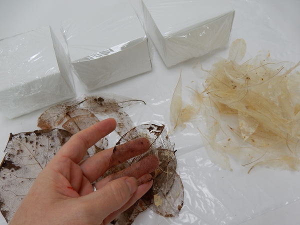 For my boxes I used both bleached and natural skeleton leaves For my boxes I used both bleached and natural skeleton leaves