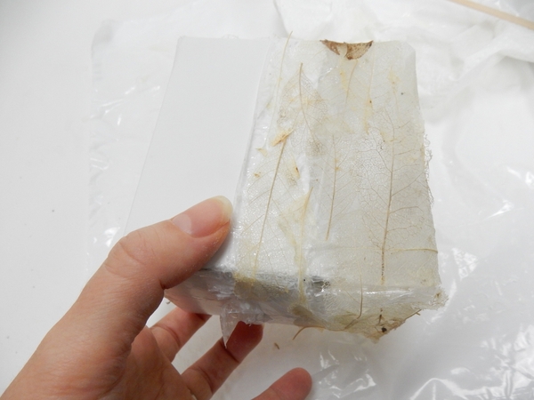 Gently remove the box Gently remove the box