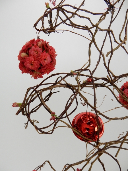 Kalanchoe baubles and bells Kalanchoe baubles and bells