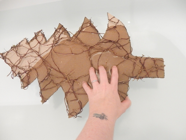 Let the cardboard soak up the water to become soggy Let the cardboard soak up the water to become soggy