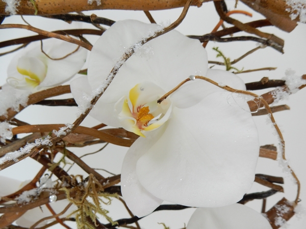 Twig and orchid wall panel Twig and orchid wall panel