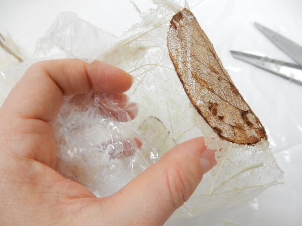 Peel away the cling film from the box and lid Peel away the cling film from the box and lid