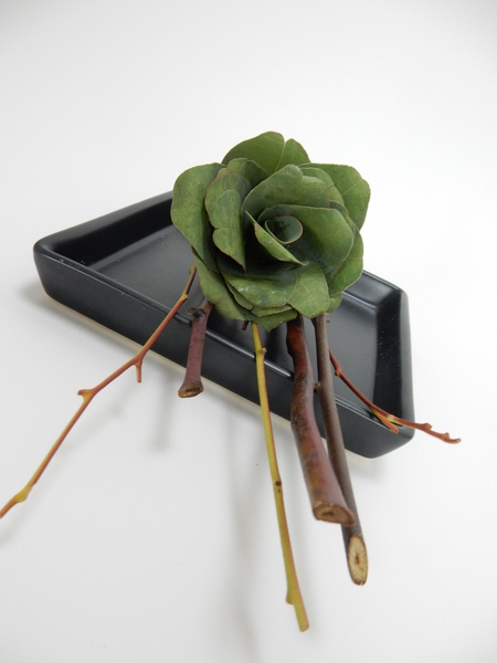 Roll Eucalyptus leaves to create a fragrant rose Roll Eucalyptus leaves to create a fragrant rose