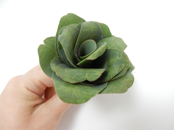 Secure the petals with glue and allow the rose to dry Secure the petals with glue and allow the rose to dry