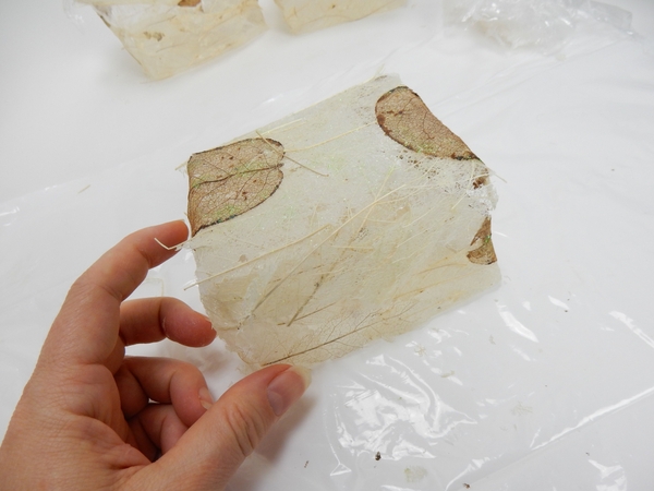 Skeleton leaf gift boxes ready to design with Skeleton leaf gift boxes ready to design with