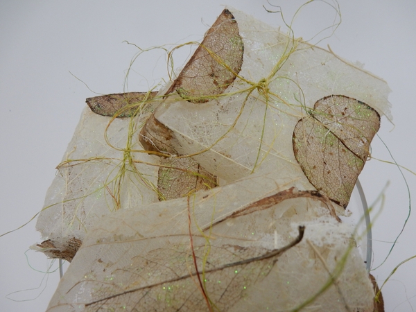 Skeleton leaves Skeleton leaves