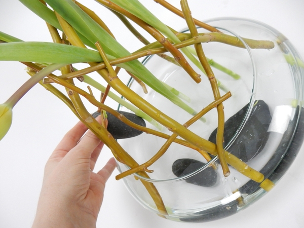 And a few pebbles in the shallow container And a few pebbles in the shallow container