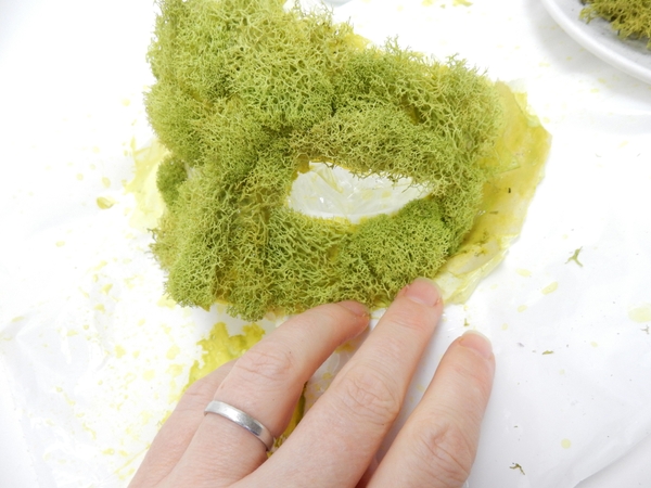 Build up the facial features from torn bits of moss Build up the facial features from torn bits of moss