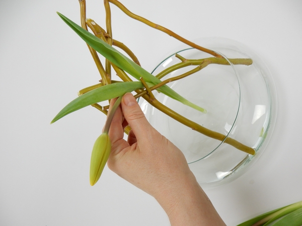 Fill the container with water and stand the graceful tulip stem in the armature Fill the container with water and stand the graceful tulip stem in the armature