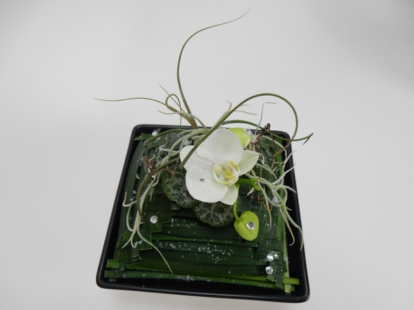 Grass Pyramid Armature. Grass Pyramid Armature.