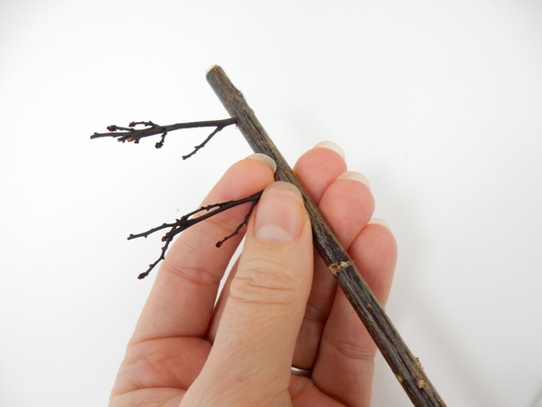 Insert delicate sticks into the tiny holes Insert delicate sticks into the tiny holes