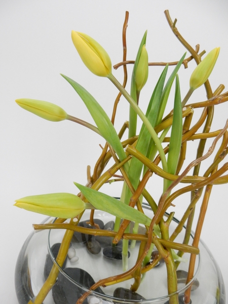 Manipulate willow twigs Manipulate willow twigs