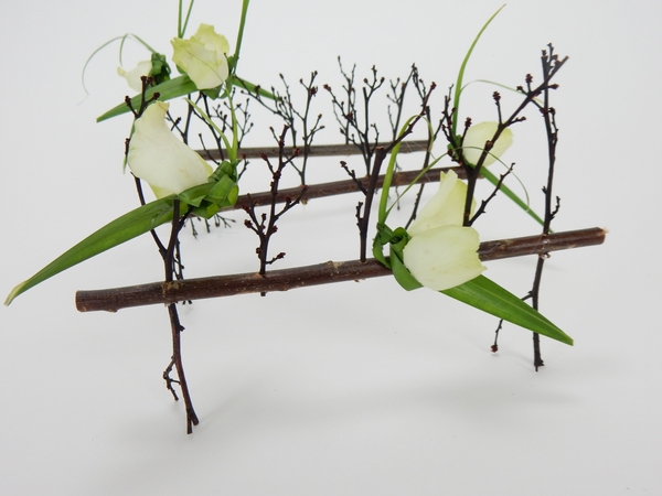 Palm and rose petal butterflies resting on twigs Palm and rose petal butterflies resting on twigs