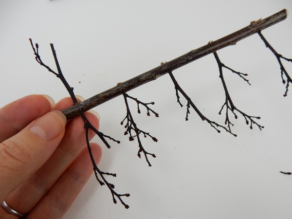 Push a twig into the last hole from under the twig. Push a twig into the last hole from under the twig.