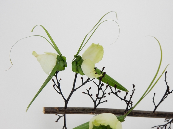 Rest the butterflies on twigs Rest the butterflies on twigs