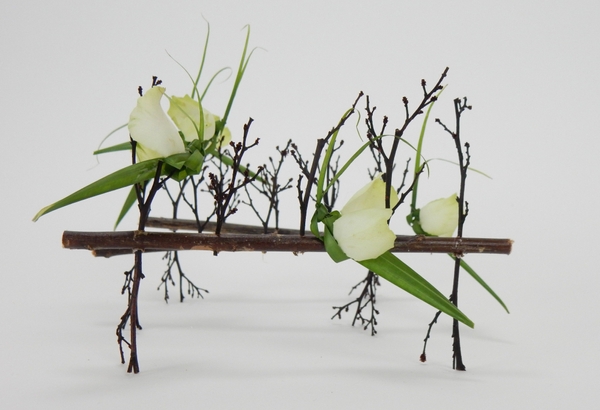 Twig armature. Twig armature.