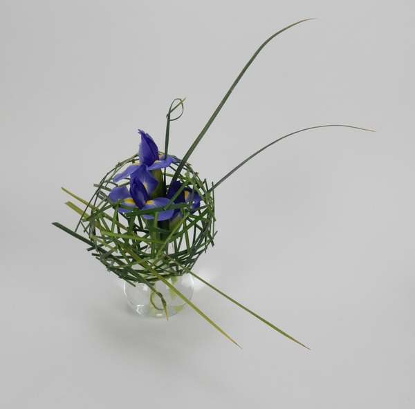 connect the dot floral art design connect the dot floral art design