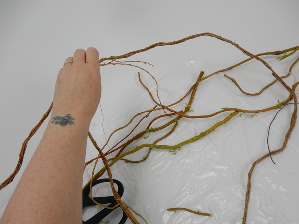 Continue adding stems Continue adding stems