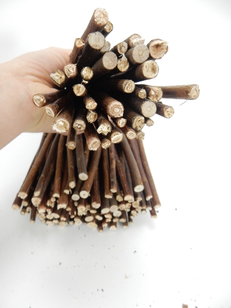 Cut a few twigs Cut a few twigs