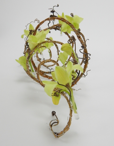 Dendrobium orchid, willow and grape vine tendrils spring for Spring Dendrobium orchid, willow and grape vine tendrils spring for Spring